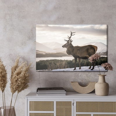 Ljuddämpande tavla - A deer against