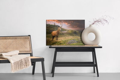Ljuddämpande tavla - A deer on a background