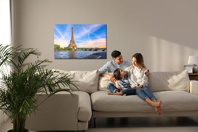 Ljuddämpande tavla - 3d view of the seine