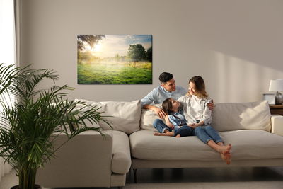 Ljuddämpande tavla - A forest clearing