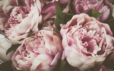 Ljuddämpande tavla - Delicate vintage peony