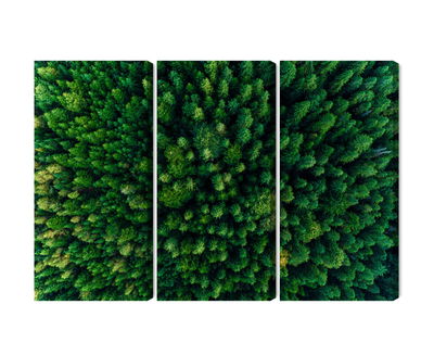 Ljuddämpande tavla - Aerial view of the green