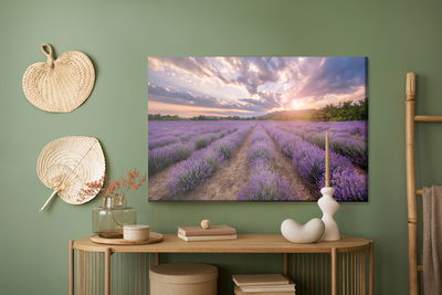 Ljuddämpande tavla - Lavender field at sunset