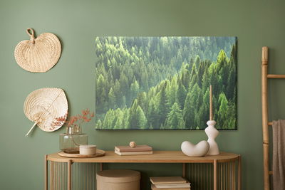 Ljuddämpande tavla - Green coniferous forest