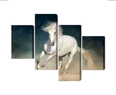 Ljuddämpande tavla - A white horse at a gallop