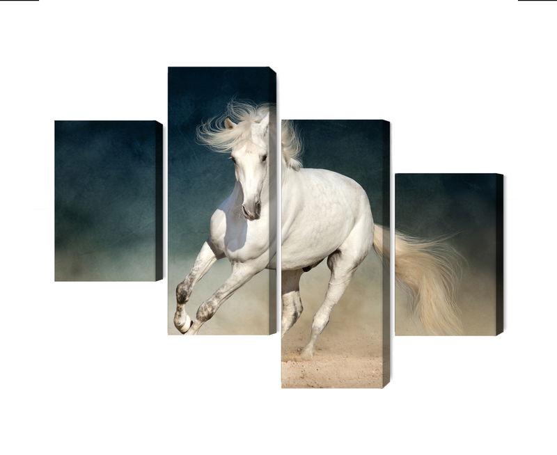 Ljuddämpande tavla - A white horse at a gallop