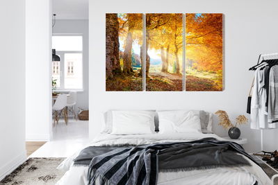 Ljuddämpande tavla - Sunny autumn forest