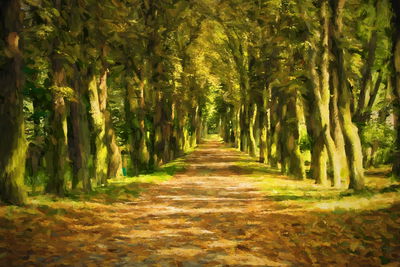 Ljuddämpande tavla - A path in the middle