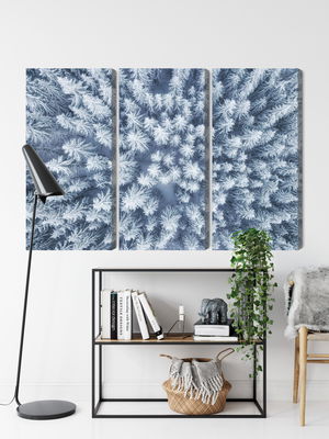 Ljuddämpande tavla - Aerial view of the winter