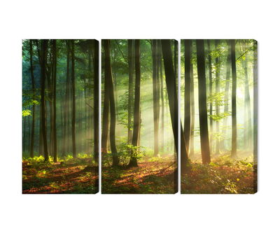 Ljuddämpande tavla - The rays of the sun