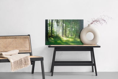 Ljuddämpande tavla - The sun peeks into the forest