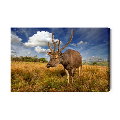 Ljuddämpande tavla - A deer in a clearing