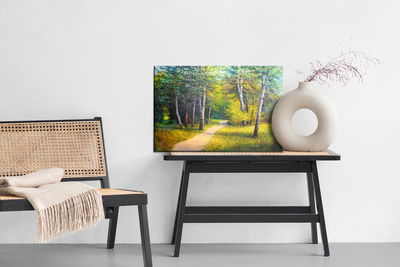 Ljuddämpande tavla - Path in a birch forest