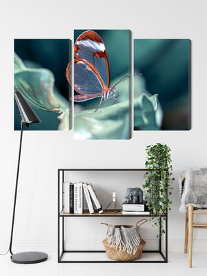 Ljuddämpande tavla - Glass-winged butterfly close