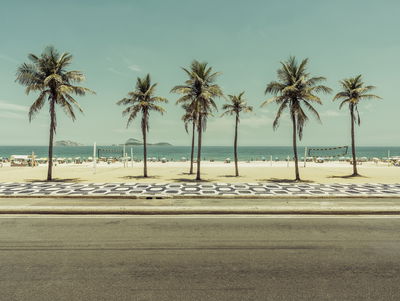 Ljuddämpande tavla - Palm trees on the ipanema