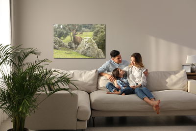 Ljuddämpande tavla - A deer among the rocks