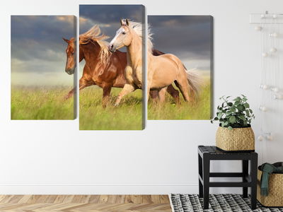 Ljuddämpande tavla - Horses galloping in a 3d