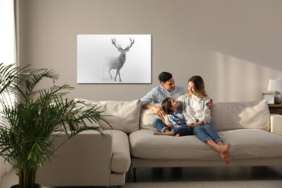 Ljuddämpande tavla - Deer in black and white