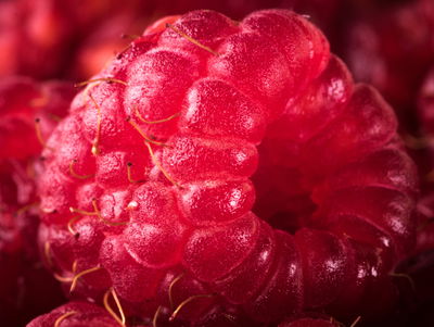 Ljuddämpande tavla - Raspberries on a macro scale