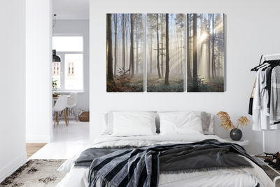 Ljuddämpande tavla - Sunrise in the woods