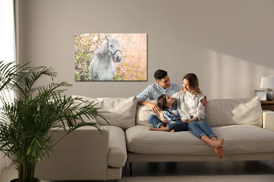 Ljuddämpande tavla - Horse on a background