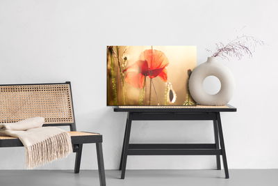 Ljuddämpande tavla - Poppies in the sun