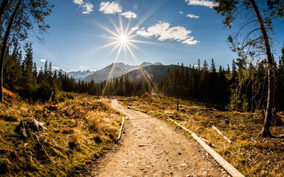 Ljuddämpande tavla - A sunny day in the tatras 3d