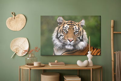 Ljuddämpande tavla - Portrait of a bengal tiger