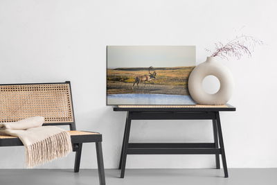 Ljuddämpande tavla - A deer over the water