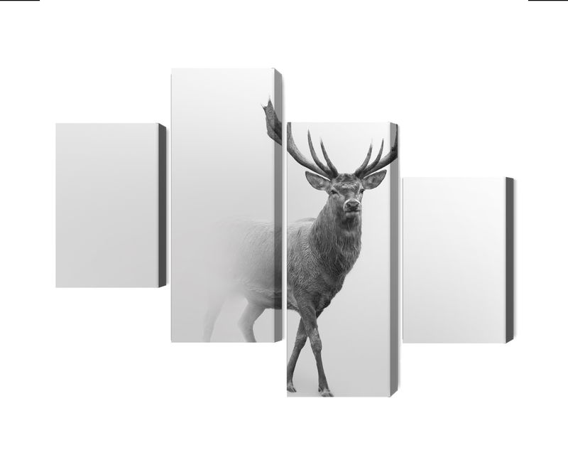 Ljuddämpande tavla - A stately deer in the fog