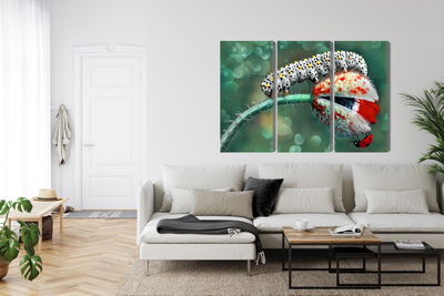 Ljuddämpande tavla - A caterpillar and a ladybug