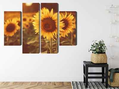 Ljuddämpande tavla - A field of sunflowers