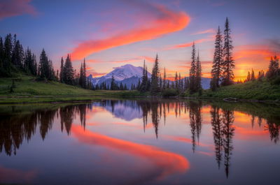 Ljuddämpande tavla - Tipsoo lake, Usa