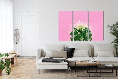 Ljuddämpande tavla - Cactus on a pink background