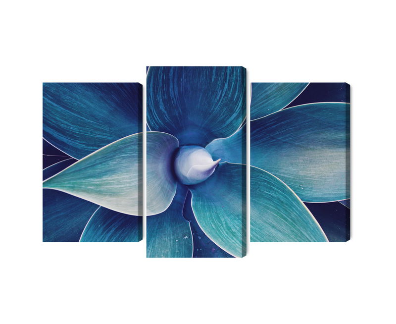 Ljuddämpande tavla - Top view of the plant