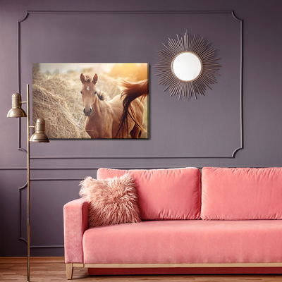 Ljuddämpande tavla - A foal on a background