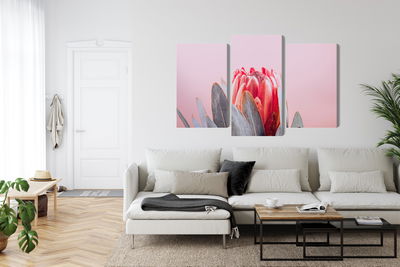 Ljuddämpande tavla - Flower of the royal protea