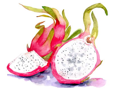 Ljuddämpande tavla - Watercolor dragon fruit