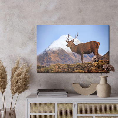 Ljuddämpande tavla - Deer on the background