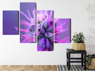 Ljuddämpande tavla - Macro plant on a pink-purple