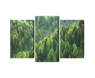 Ljuddämpande tavla - The green of the forest