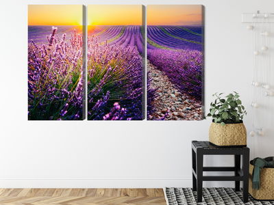 Ljuddämpande tavla - Lavender field at sunset 3d