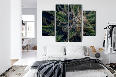 Ljuddämpande tavla - Cannabis plant close up