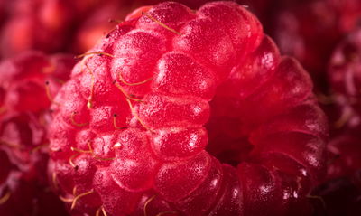 Ljuddämpande tavla - Raspberries on a macro scale