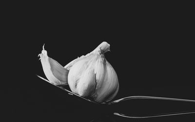 Ljuddämpande tavla - A tablespoon of garlic