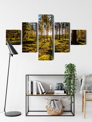 Ljuddämpande tavla - Morning sun rays