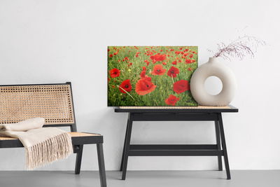 Ljuddämpande tavla - Red poppies in the meadow