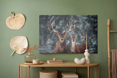Ljuddämpande tavla - Deer and deer in winter