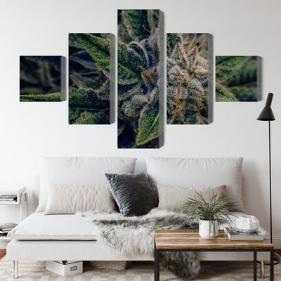 Ljuddämpande tavla - Cannabis plant close up