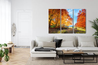 Ljuddämpande tavla - Colorful autumn trees